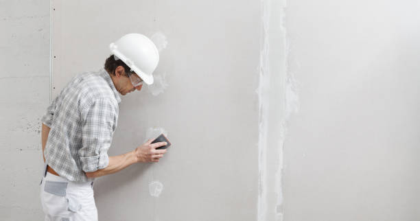 Best Residential Mold Inspection & Testing  in Whitmore Lake, MI