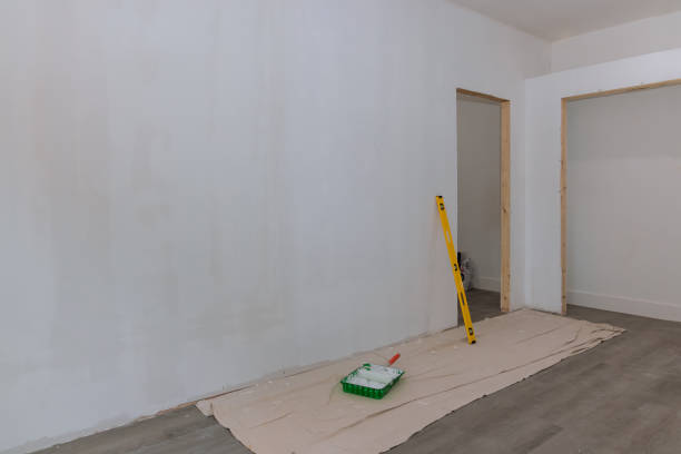 Mold Odor Removal Services in Whitmore Lake, MI