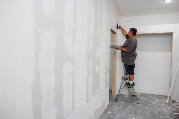 Best Mold Damage Restoration  in Whitmore Lake, MI