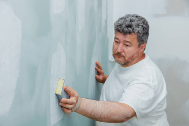 Best Water Damage & Mold Remediation  in Whitmore Lake, MI