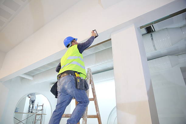 Best Biohazard Mold Removal  in Whitmore Lake, MI