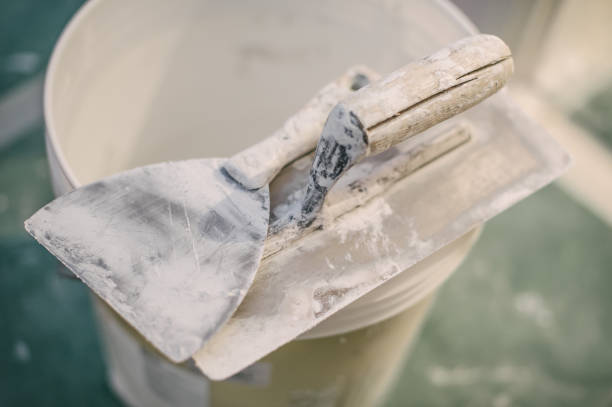 Best Asbestos and Lead Testing During Mold Inspection  in Whitmore Lake, MI