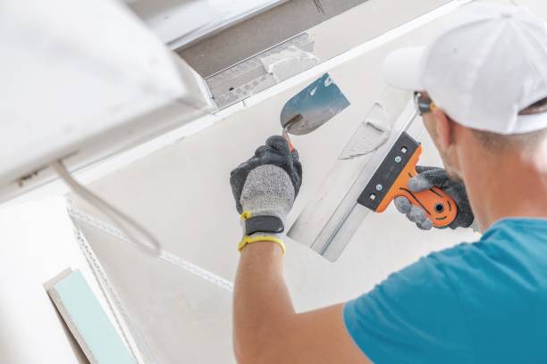 Best Post-Construction Mold Inspection  in Whitmore Lake, MI